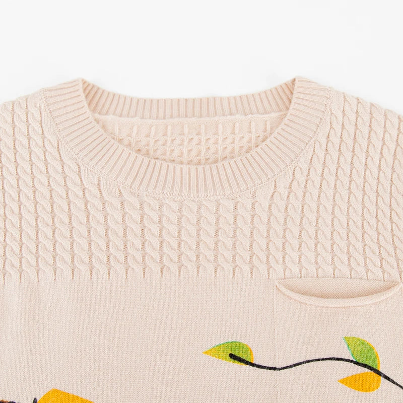 Print Women'S Sweaters Autumn Korean Fashion Women Clothing Pullover Long Sleeve Top Pull Femme Soft Sweater Women